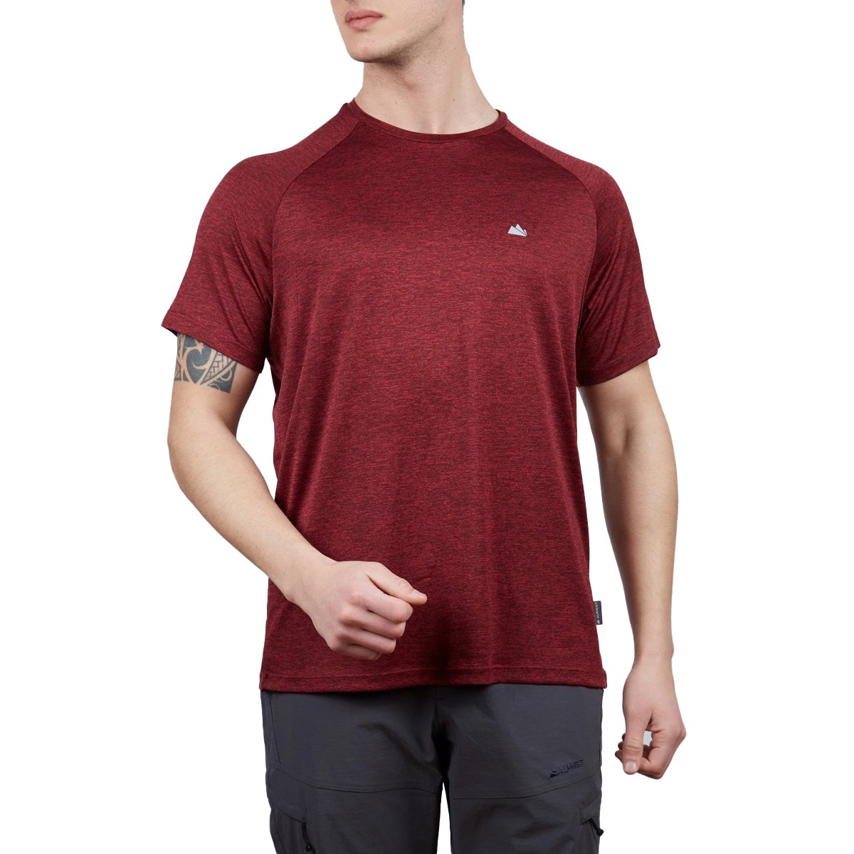 Alpinist Speedwick Move Erkek T-Shirt